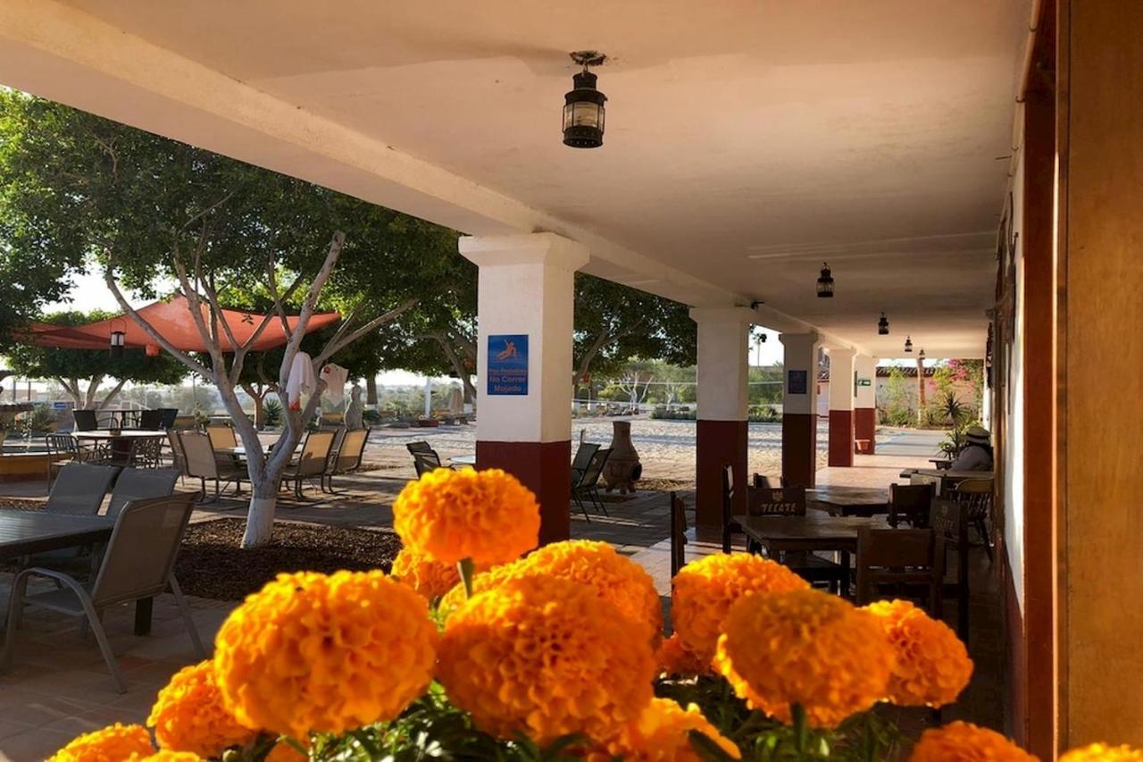 Hotel Las Palmas 산 펠리페 외부 사진